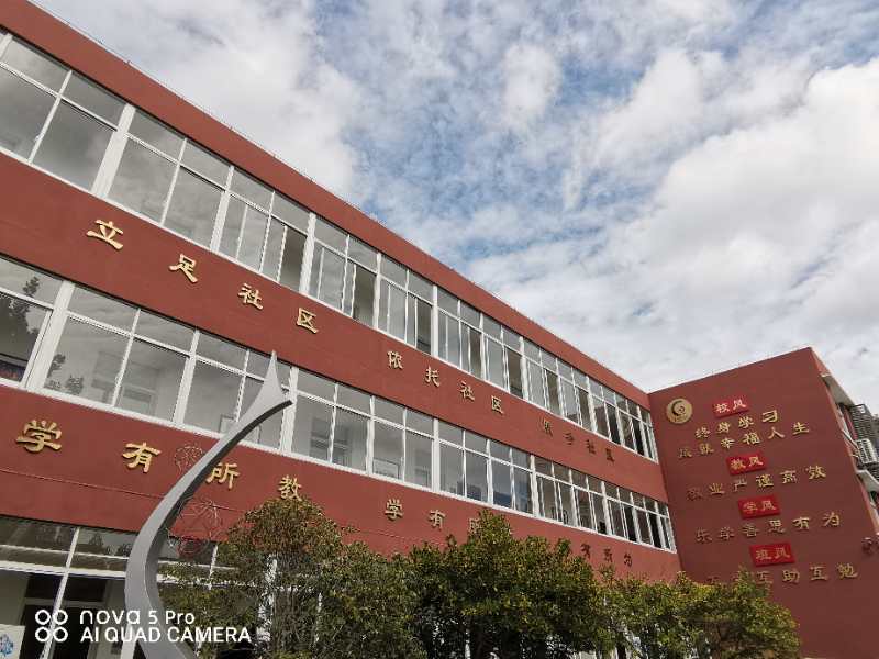 校园景色